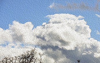 DSC-002201x.jpg