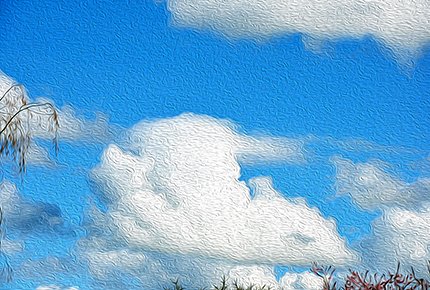 DSC-002801x.jpg