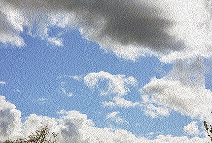 DSC-006601x-2.jpg