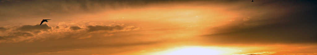 Banner Sunset