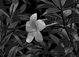 DSC-0017-bw-pstrzd01x.jpg