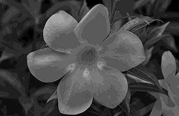 DSC-002801x.jpg