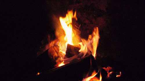 DSC-0158.gif