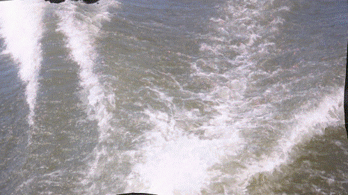 20180419-0120.gif