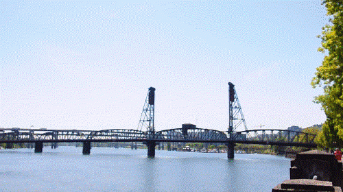 20180502-0291.gif